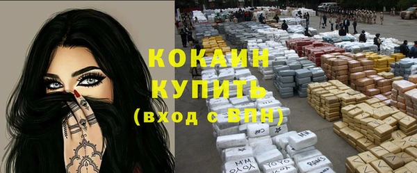 амф Няндома
