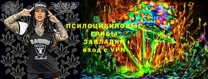 где можно купить   Почеп  Галлюциногенные грибы Psilocybine cubensis 